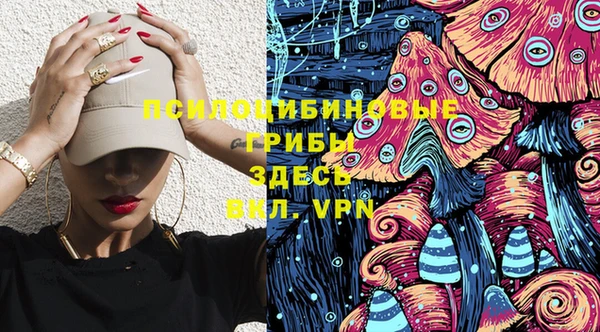 твердый Покачи