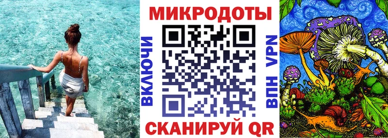 где найти   Бирюсинск  Псилоцибиновые грибы GOLDEN TEACHER 